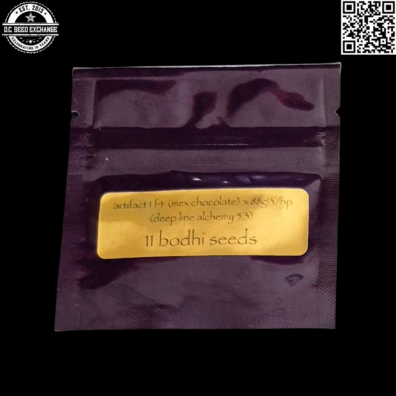 Bodhi Seeds Deep Line Alchemy 5.3 Artifact 1 F4 Front IG