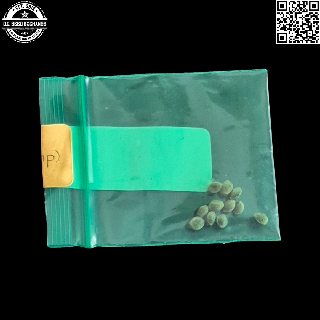 Bodhi Seeds Pure Land Hashplant Front IG