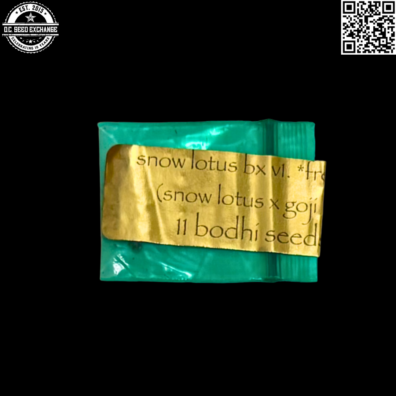 Bodhi Seeds Snow Lotus BX v1 Front IG