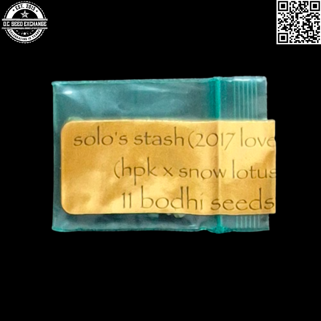 Bodhi Seeds Solos Stash Front2 IG