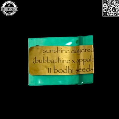 Bodhi Seeds Sunshine Daydream Front3 IG