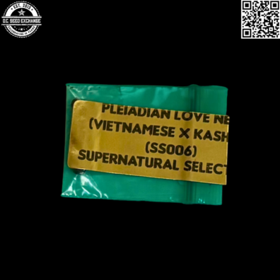 Bodhi Seeds Supernatural Selections 006 Pleiadian Love Nest Front IG