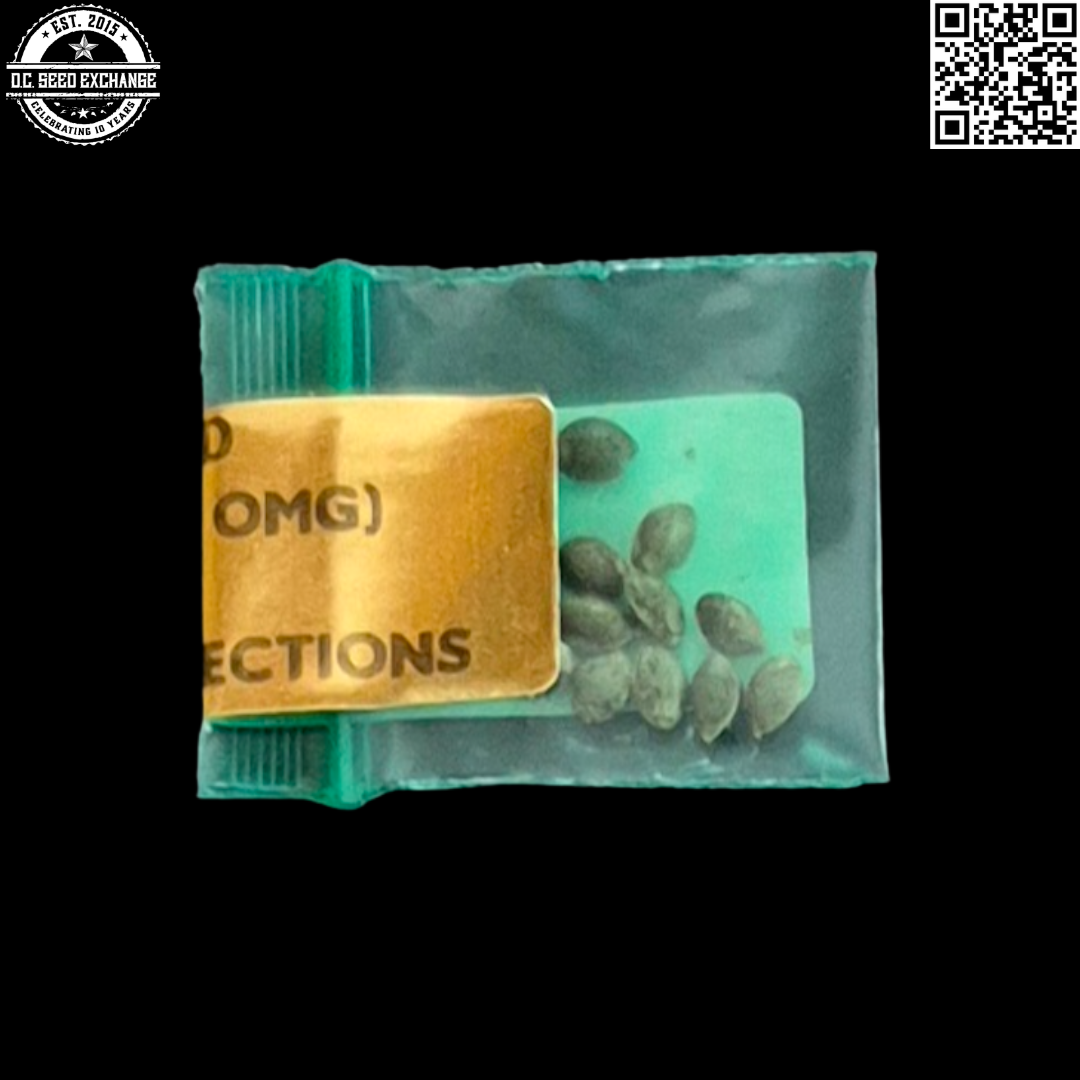 Bodhi Seeds Supernatural Selections Dread Bread SS001 Back IG