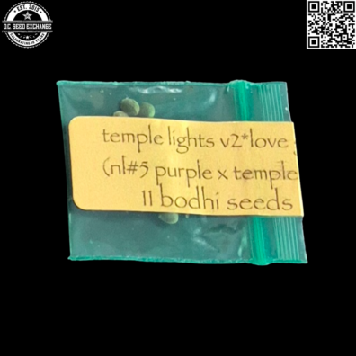 Bodhi Seeds Temple Lights v2 Front IG