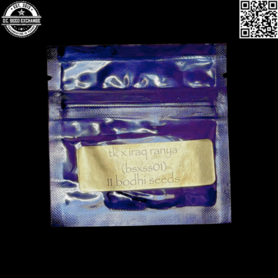 Bodhi Seeds Triangle Kush x Iraq Ranya BSXSS01 Front IG