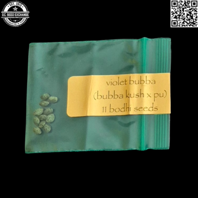 Bodhi Seeds Violet Bubba Front IG