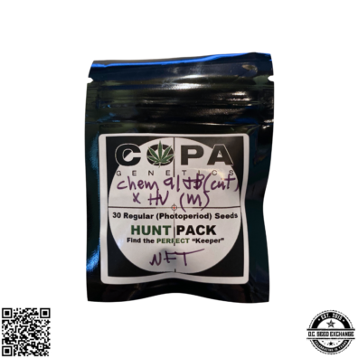 Chem 91 x High Voltage IG