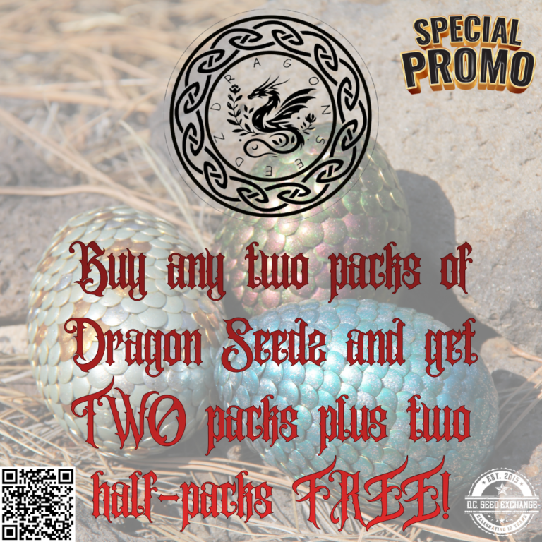 Dragon Seedz Promo IG Template v2