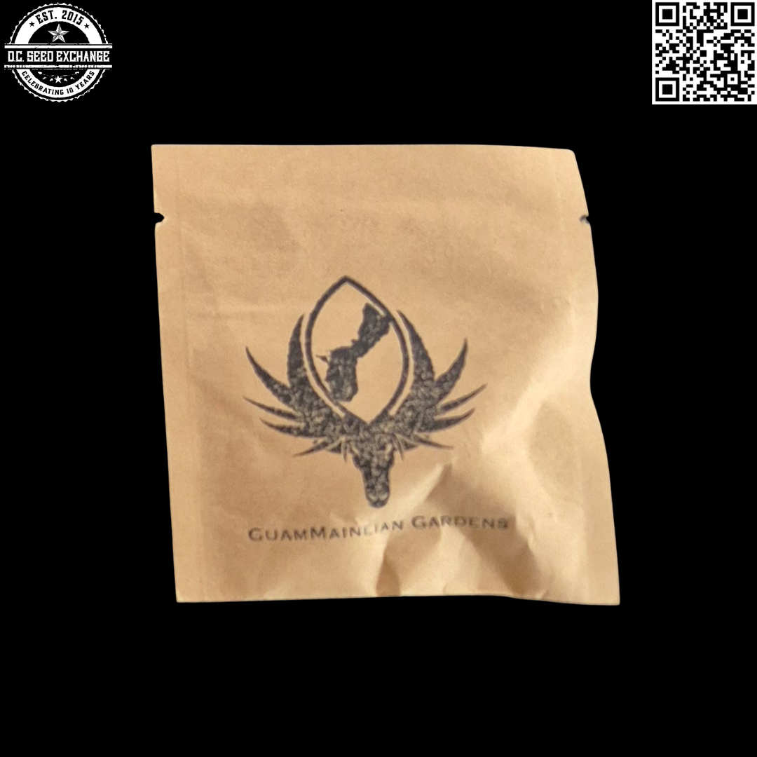 GuamMaineian Gardens Chamhaole F3 Front2 IG