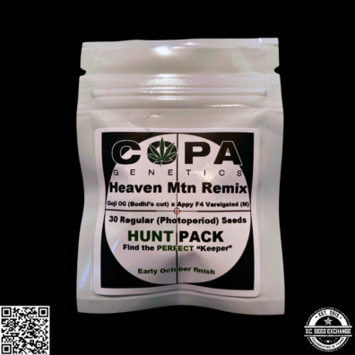 Heaven Mountain Remix Hunt IG