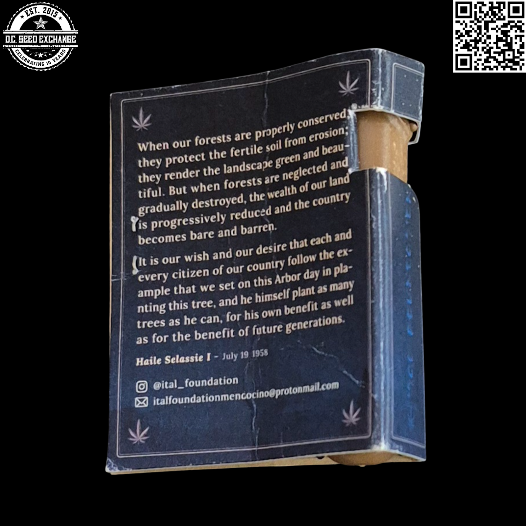 Ital Foundation ???? Back IG