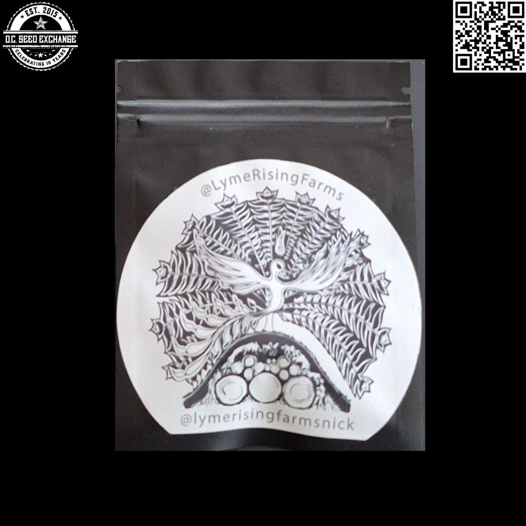 Lyme Rising Farm Summer's End Back IG