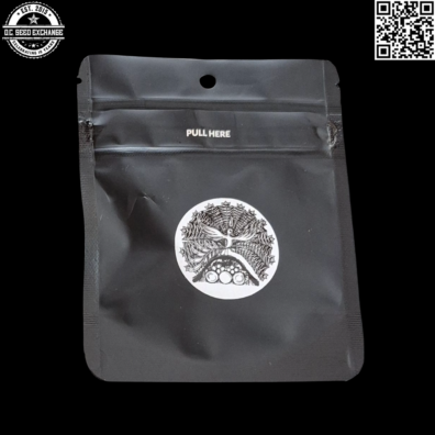 Lyme Rising Farm Summer's End Back2 IG