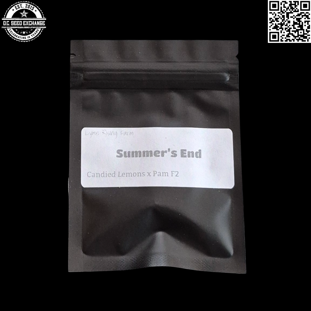 Lyme Rising Farm Summer's End Front IG