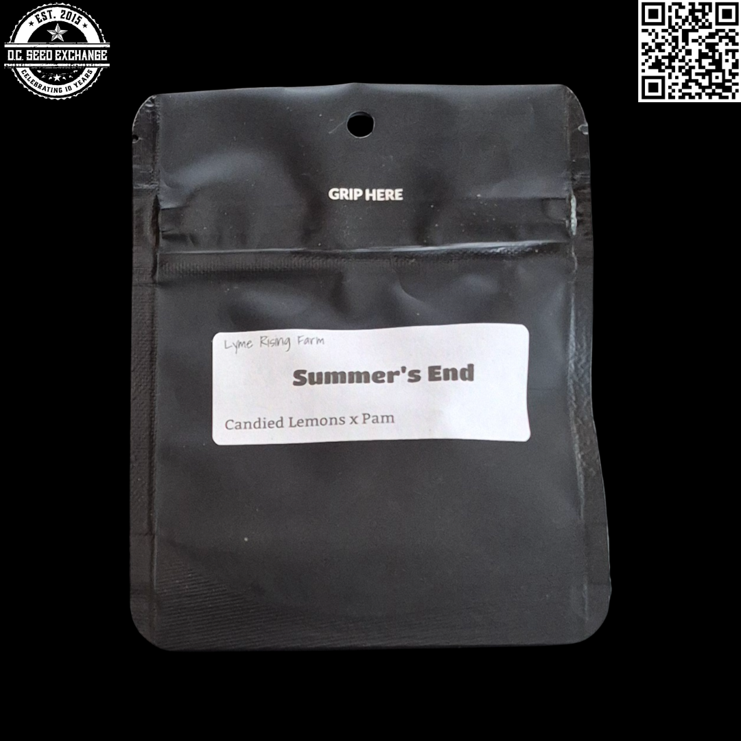 Lyme Rising Farm Summer's End Front2 IG