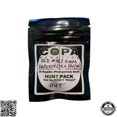 Old Girl x High Voltage IG v2