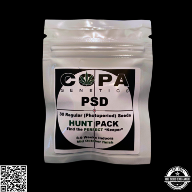 PSD Hunt IG