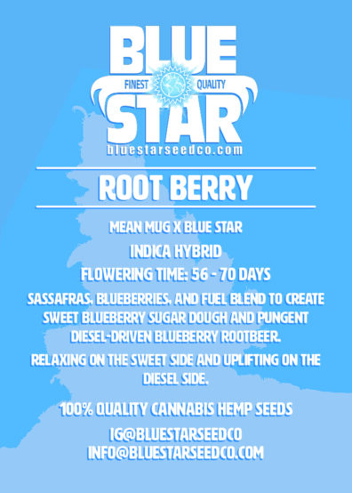 Root Berry 1