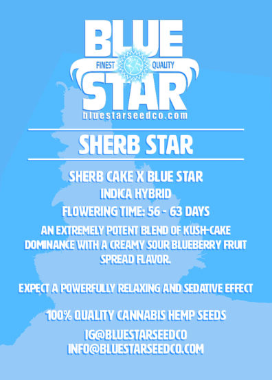 SHERB STAR 6