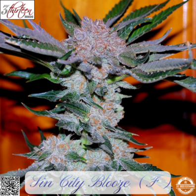 Sin City Blooze IG