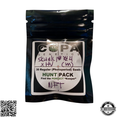 Skunk 18 #4 x High Voltage IG