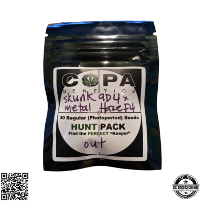 Skunk 9D4 x Metal Haze IG