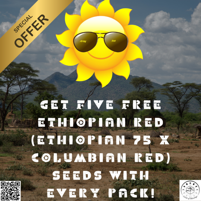 Stayfox Gardenz Promo