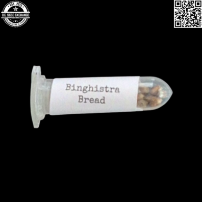 Swami Organic Seeds Binghistra Bread Front2 IG
