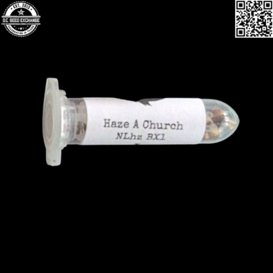 Swami Organic Seeds Haze A Church Front IG