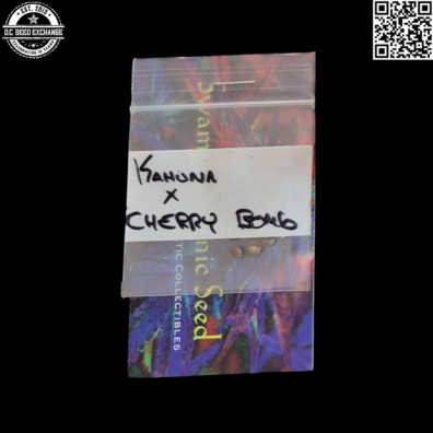 Swami Organic Seeds Kahuna x Cherry Bomb Front IG