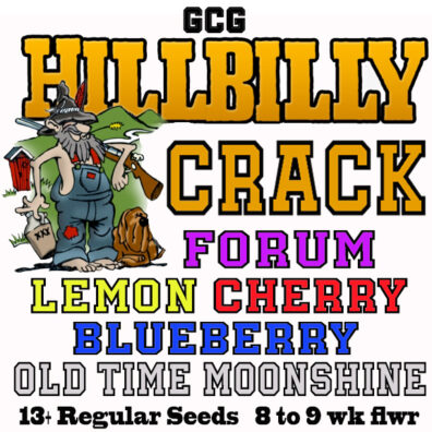 hillbilly IG