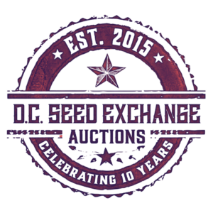 Auction Logo Red Transparent