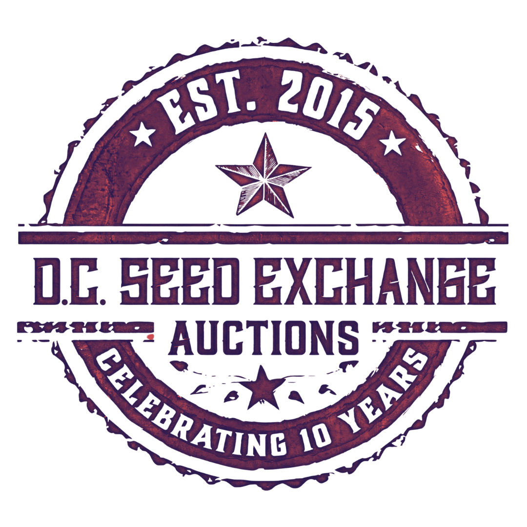 Auction Logo Red Transparent