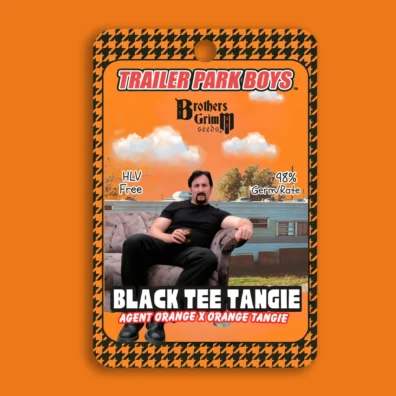 Black Tee Tangie