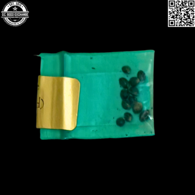 Bodhi Seeds Cherry Sunshine Back3 IG