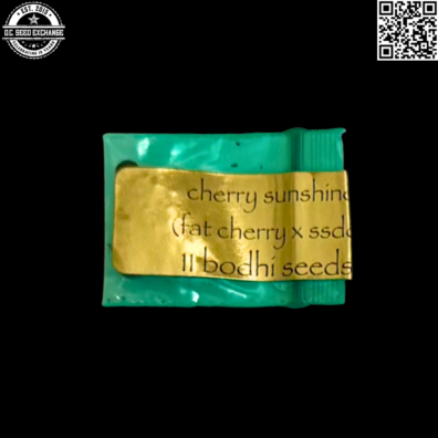 Bodhi Seeds Cherry Sunshine Front3 IG