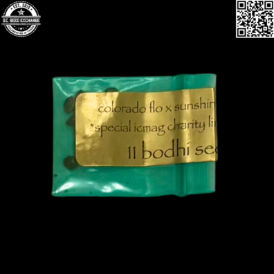Bodhi Seeds Colorado Flo x Sunshine Daydream Front IG