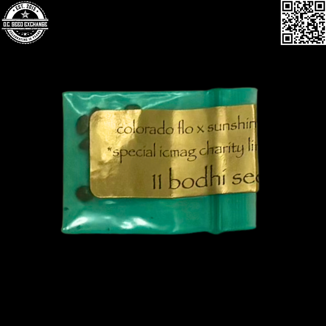 Bodhi Seeds Colorado Flo x Sunshine Daydream Front IG