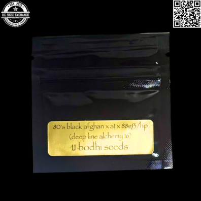Bodhi Seeds Deep Line Alchemy 16 80s Black Afghan x A1 x 88g13:hp Front IG