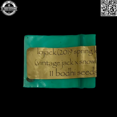 Bodhi Seeds Lojack Front IG