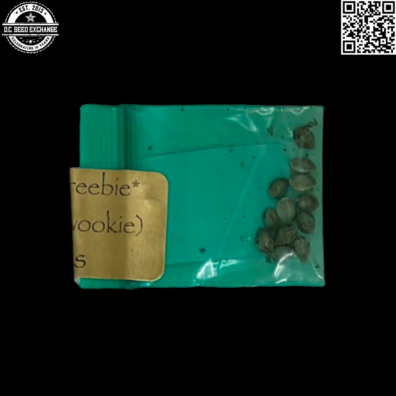 Bodhi Seeds Lucky Wookie v2 Back2 IG