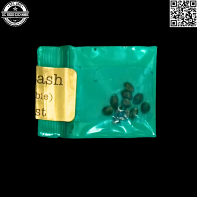 Bodhi Seeds Petrolia Headstash Back IG