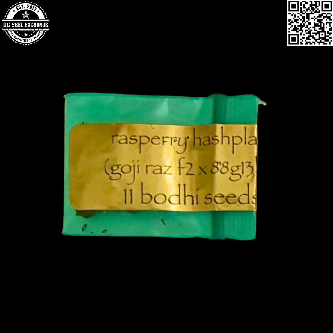 Bodhi Seeds Raspberry Hashplant Front IG