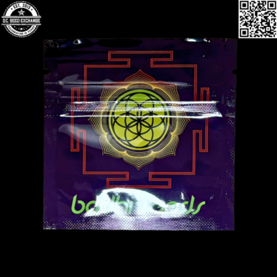 Bodhi Seeds Red Eye Jedi Back IG