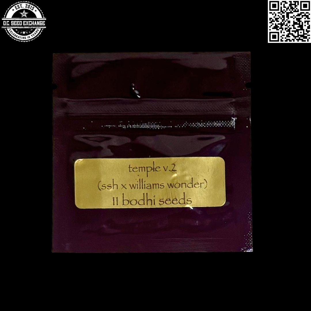 Bodhi Seeds Temple v2 Front IG