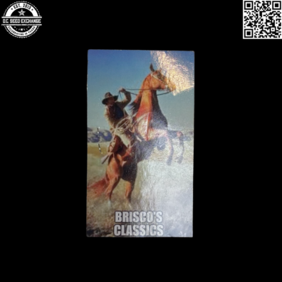 Brisco Bargain Beans Lucky 14 Mix + Fem Mix Back IG