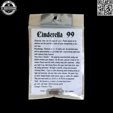 Brothers Grimm Cinderella 99 Back2 IG