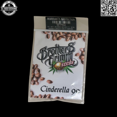 Brothers Grimm Cinderella 99 Front2 IG