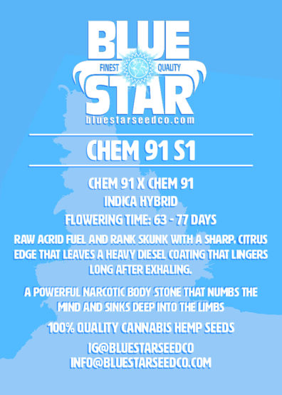 CHEM 91 S1 6