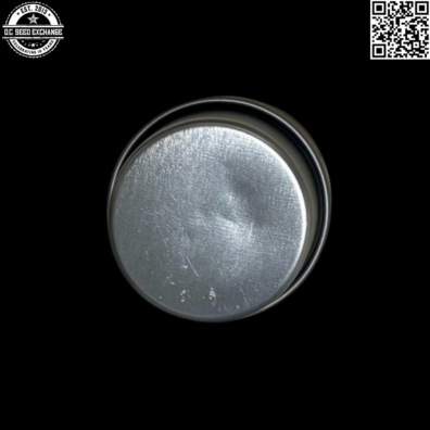 Centennial Seeds Dakani Kush Back IG